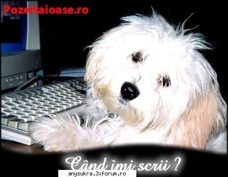 e m-am nascut pe 18 iunie 1996...shi sunt gemeni :d pe ce data esti nascut shi ce zodie esti??