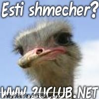 Semnificatzia NUMELUI tau - ADAM Este numele primului bărbat. Provine de - >>Sa ne necunoastem<<